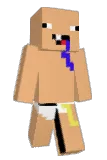4unkin Minecraft avatar full body