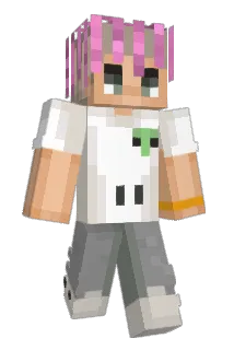 4x2x0 Minecraft avatar full body