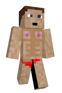 4x9t Minecraft avatar full body