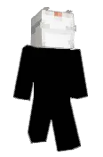 CeilingBird