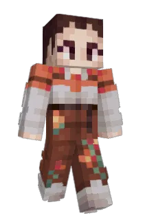 Front of Spyro_Bee's skin