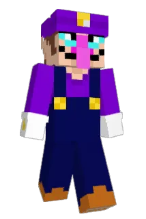501t Minecraft avatar full body