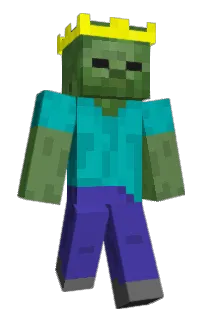 Front of Nautnes's skin