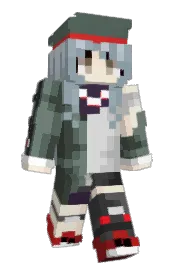 Skin preview