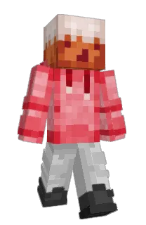 Front of Aceninja202's skin