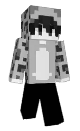 silver and black Minecraft skin — Slim model — first worn by Reality