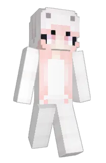 Front of iAniiram's skin