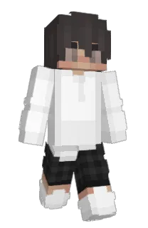 EinsTylxr's Minecraft skin