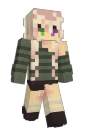 Skin preview
