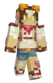 Skin preview