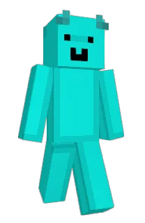 Front of x26K's skin