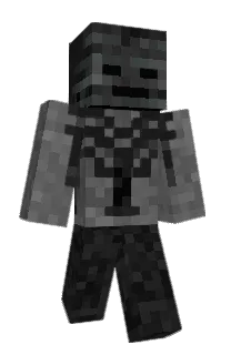 Front of mrmanhasafan's skin