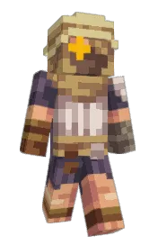 Skin preview