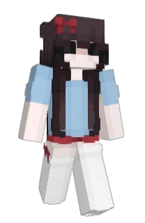 Front of iMechanic's skin