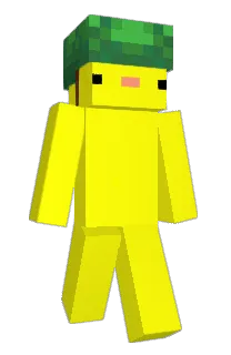 Front of Minecraft skin