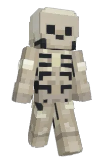 Front of COLOMBUS123's skin