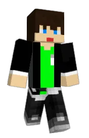 Skin preview