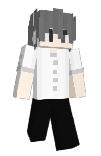 Front of dzejsaks's skin