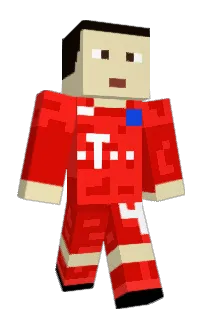 Front of PEcANoX's skin