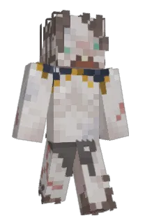 Front of heremitus's skin