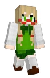 Skin preview