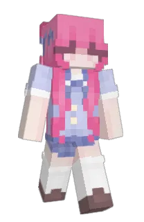 Front of iAim's skin
