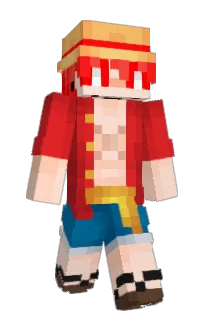 Front of WiniPog's skin