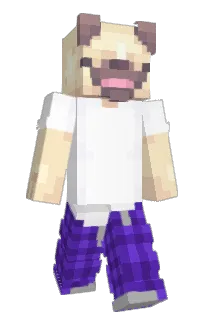 Front of Davizin0102's skin