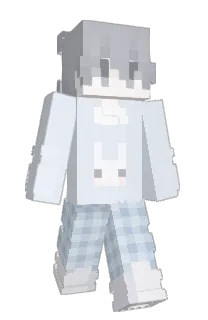 Front of skvhw's skin