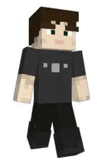 Front of seesnik's skin