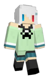 Skin preview