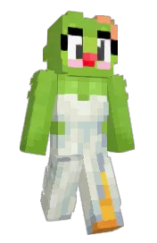 Skin preview