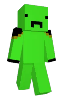 Front of maorco's skin