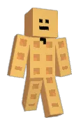 Skizly