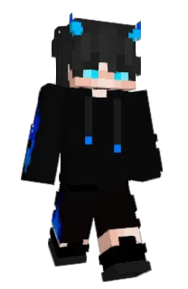 Front of TTS3B1's skin