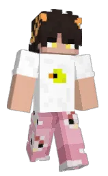 Slim Minecraft skin