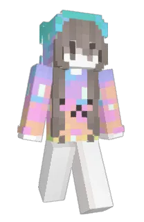Front of pingplus's skin