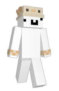 Front of Minecraft skin