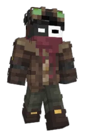 Skin preview