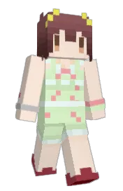 Skin preview