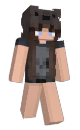 Minecraft skin — Classic model