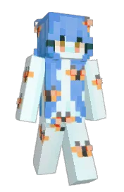 Skin preview