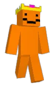 Ocluis