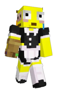 Front of _ZIND_'s skin
