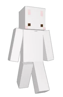 Front of Minecraft skin