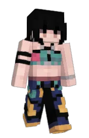Skin preview
