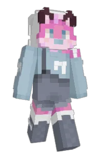 Front of Awooscar's skin