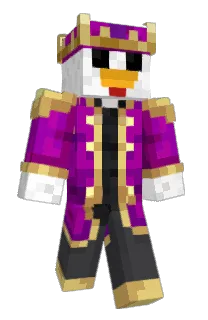 Front of neproh's skin