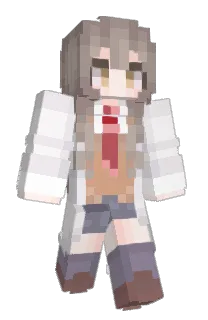 Front of Minecraft skin