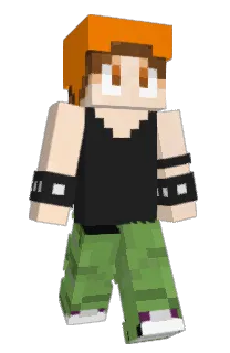 Front of Dingbat1991's skin